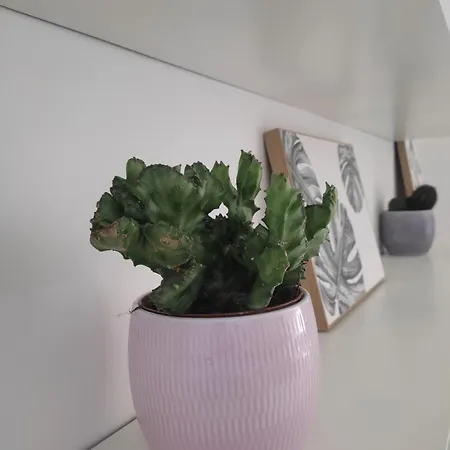 Apartament Benny's House